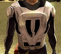 EnvironmentalBastionArmor-KOTOR.jpg