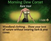 Morning Dew Corset