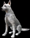 Hewie1