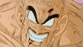 Nappa13