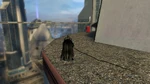 SightingSteel4