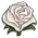 White Rose-icon.png