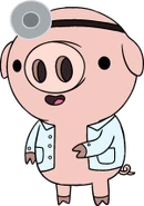 Pig3