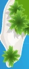Coconut Beach Map.png