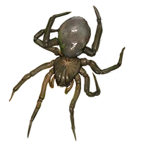 Huge item waterspider 01.png