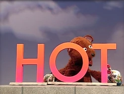BabyBearHOT