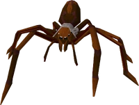 Huge spider