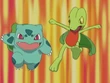 EP347 Bulbasaur y Treecko