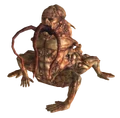 CentaurEvolved