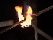 Fire