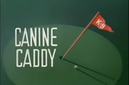 CanineCaddyTitleCard
