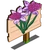 Lilac Daffy