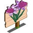 Lilac Daffy