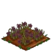Lilac Daffy withered