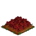 Red Spinach 100