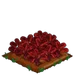Red Spinach extra100
