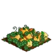 Squmpkin 100