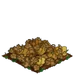 Squmpkin withered