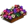 Anemone (decoration)-icon