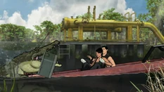 Alligator swamp