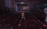 Oolong investigation 5