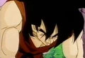 Yamcha15