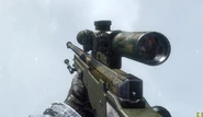 L96A1 Flora BO