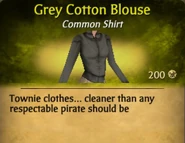Grey Cotton Blouse