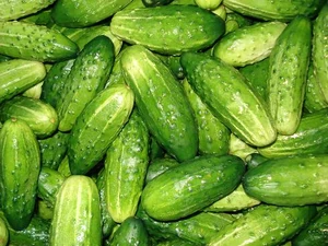 Cucumbers.jpg