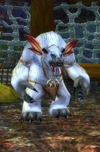 Image of Ota Wen