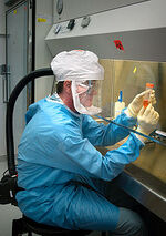 220px-Influenza virus research
