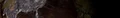 Articletype alt timeline.png