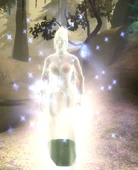 VesselOfTheSpirit3
