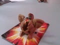 WP 000005