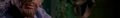 Spock's beard.png
