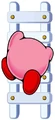KNIDKirbyladder
