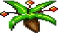 Mandrake Root.jpg