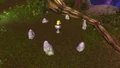 Aviana'sBurialCircle.jpg