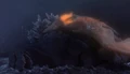 A dying Rodan