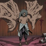SasukeLevel2