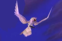 HyjalOwl