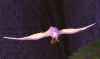 Image of Hyjal Huntress