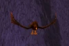 HyjalRoc