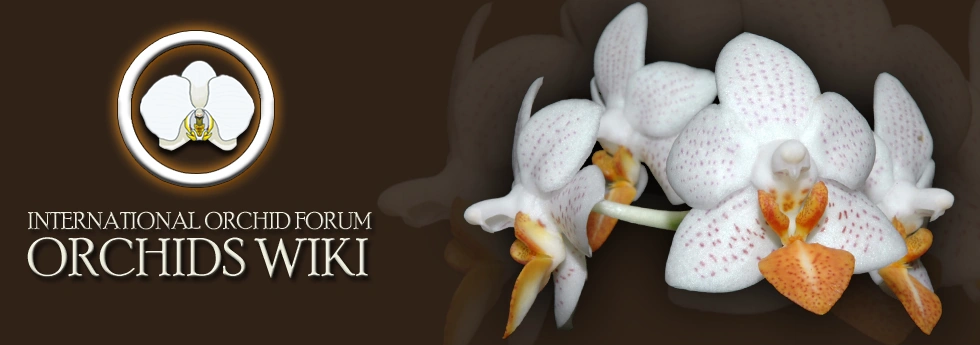 ORCHIDSWIKIFORUM.PNG