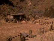 Shakaars Farm