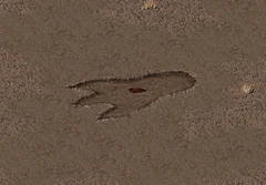 Fo1 Giant Footprint