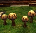Horklumps 1.jpg