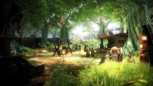 Gypsy Camp