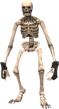 Skeleton 1 (FFXI)