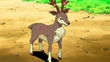 EP679 Sawsbuck de Cabernet